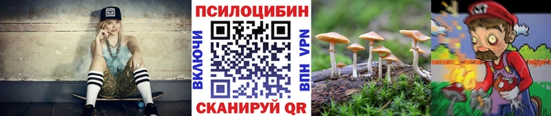 дарнет шоп  Верхняя Салда  Галлюциногенные грибы Psilocybine cubensis 
